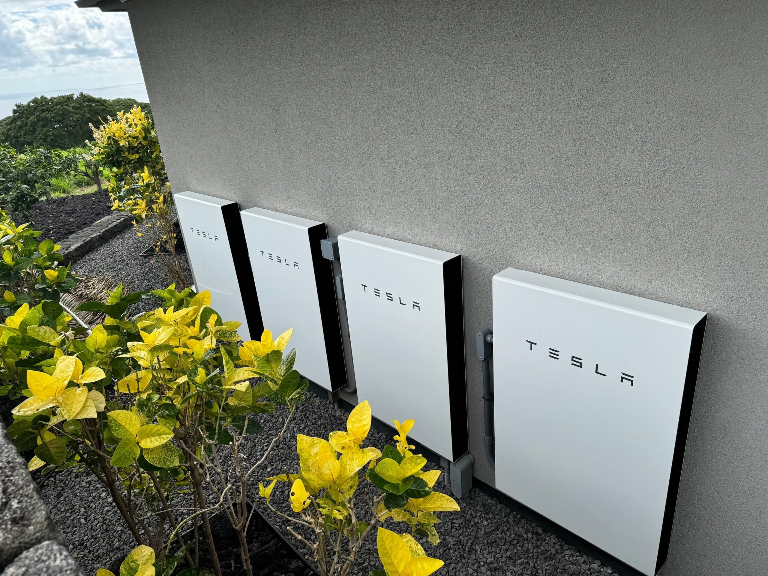 Cuatro baterías Tesla Powerwall blancas instaladas en una pared exterior junto a plantas amarillas.